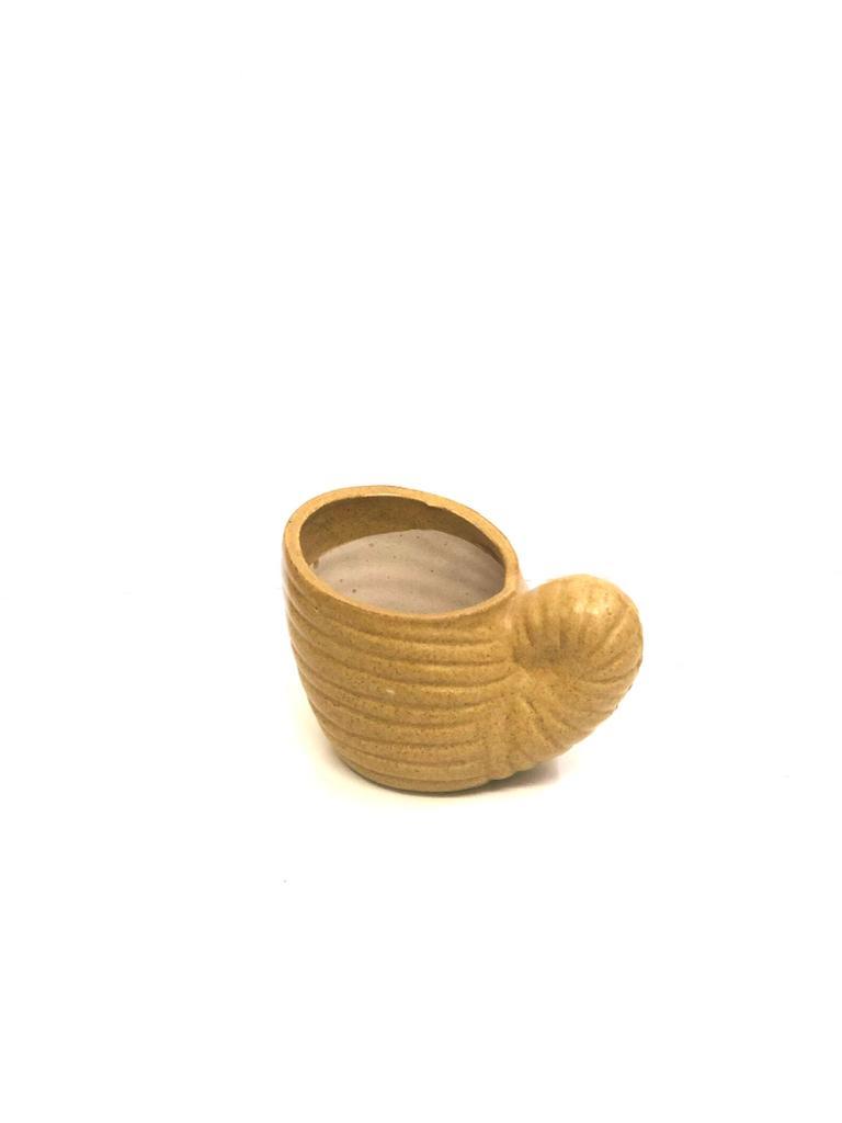 Shell Shaped Ceramic Pots Uniquely Designed Excellent Creations By Tamrapatra