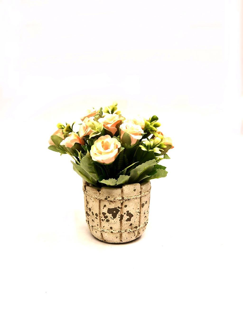 Barrel Style Small Lovely Rose Plant In Different Shades Gifts Tamrapatra