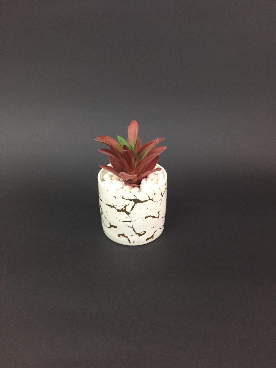 Crackled Golden Finished Pots With Attractive Succulents Plants By Tamrapatra