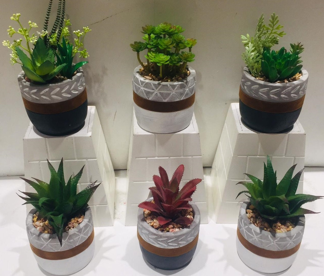 Cement Stylish Pots With Bright Succulents In Sand Arranged Plants Tamrapatra