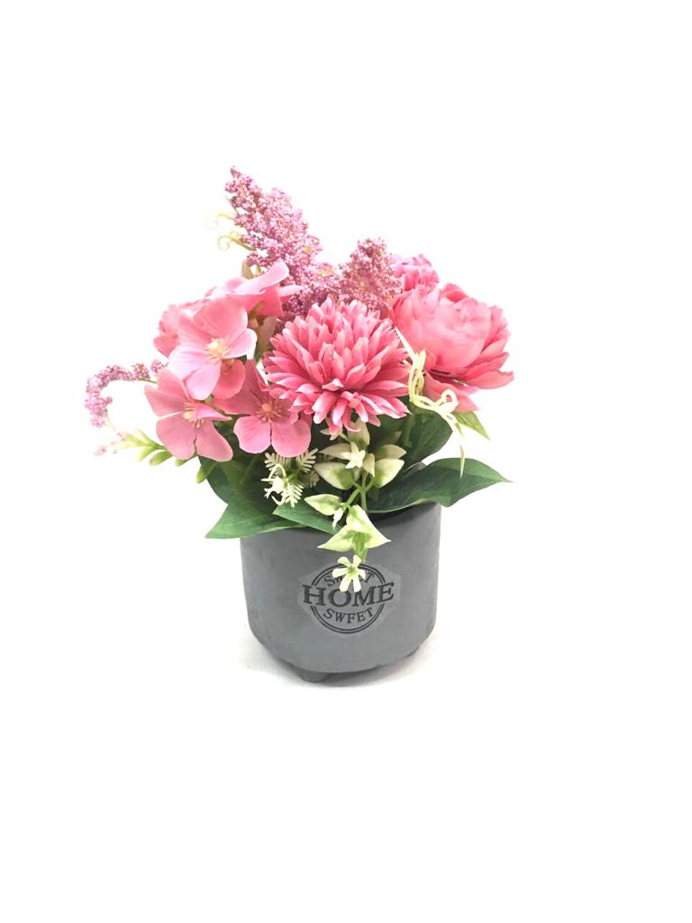 Greyish Cement Sweet Home Pots Plants With Attractive Flowers By Tamrapatra