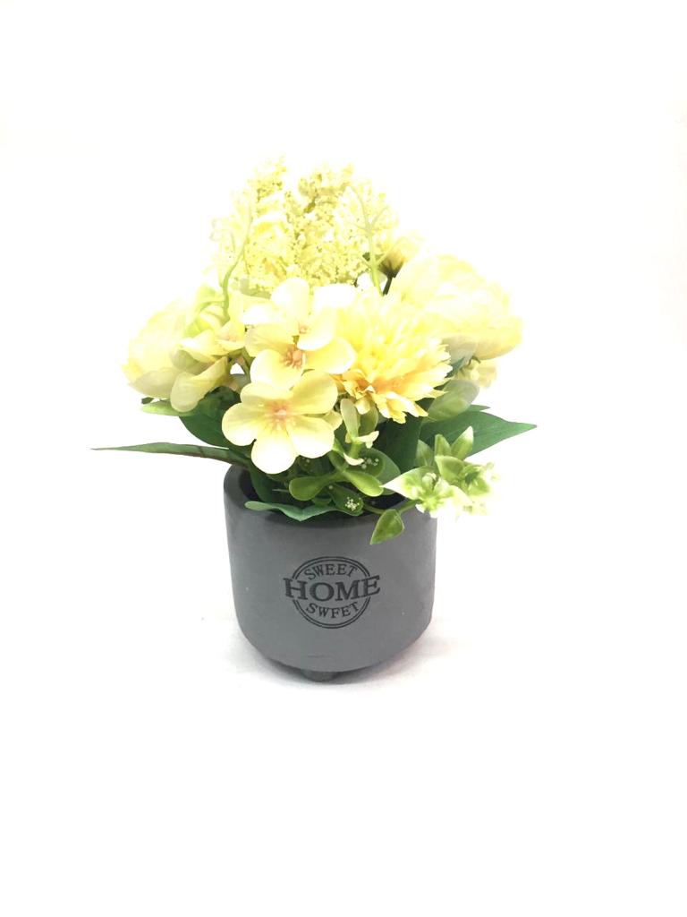 Greyish Cement Sweet Home Pots Plants With Attractive Flowers By Tamrapatra