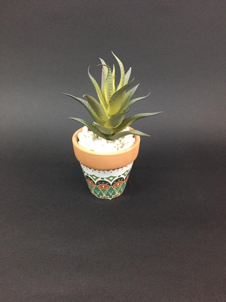 Amazing Designer Terracotta Pots With Various Indoor Succulents By Tamrapatra