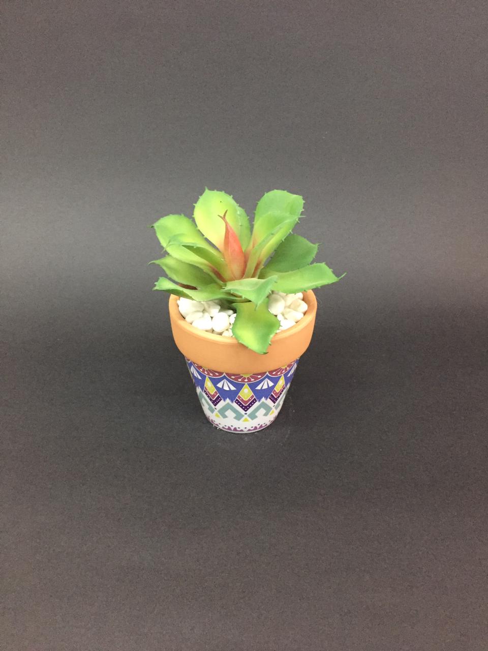 Amazing Designer Terracotta Pots With Various Indoor Succulents By Tamrapatra