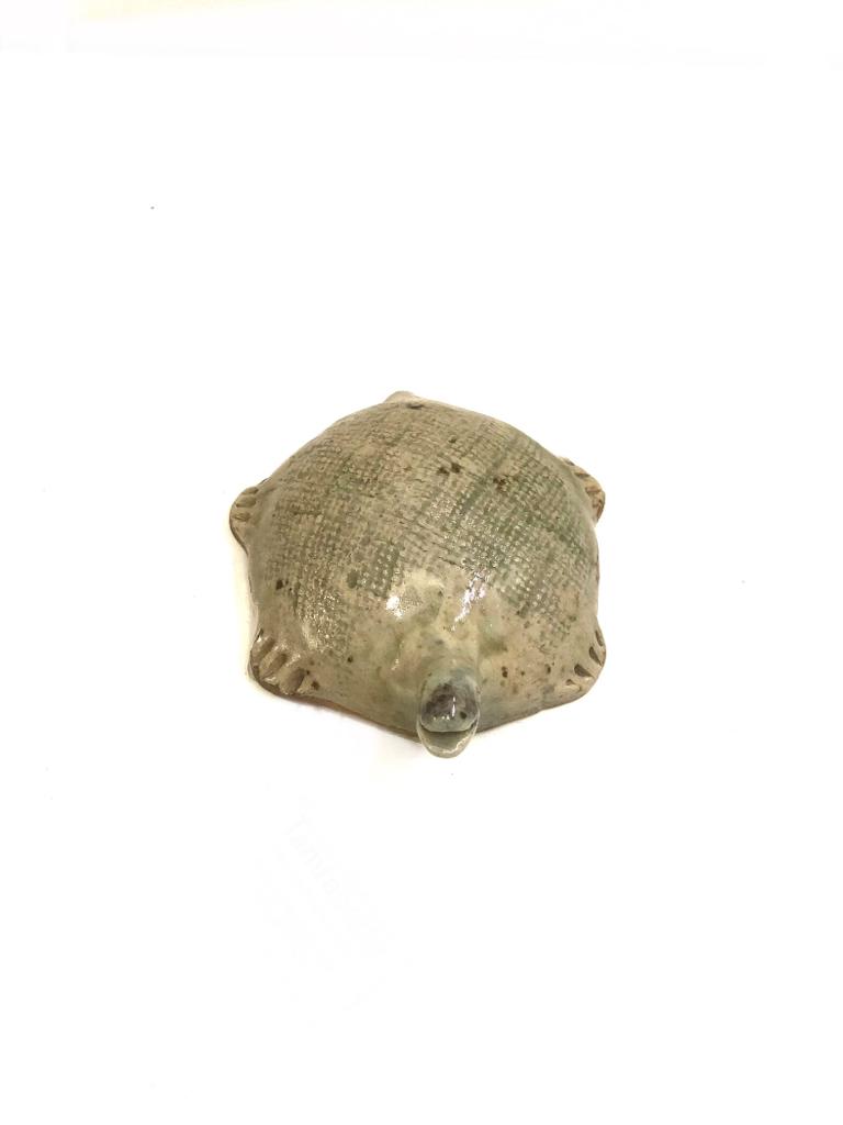 Tortoise In Various Shades Exclusive Ceramic Unique Collection By Tamrapatra