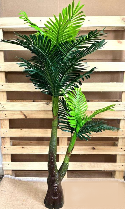 areca palm decoration Big Tree Areca Palm For Indoor Outdoor Home Office Decoration By Tamra