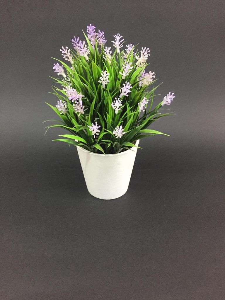 The Grass Finished Indoor Plant Absolute Attraction In Your Home From Tamrapatra