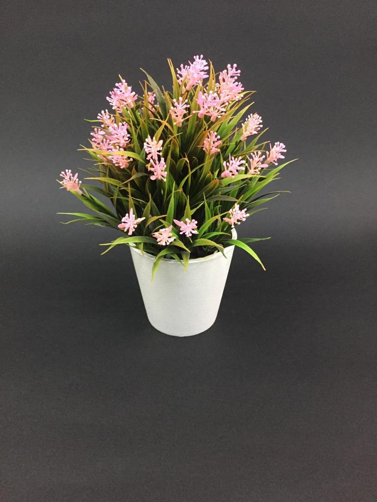 The Grass Finished Indoor Plant Absolute Attraction In Your Home From Tamrapatra