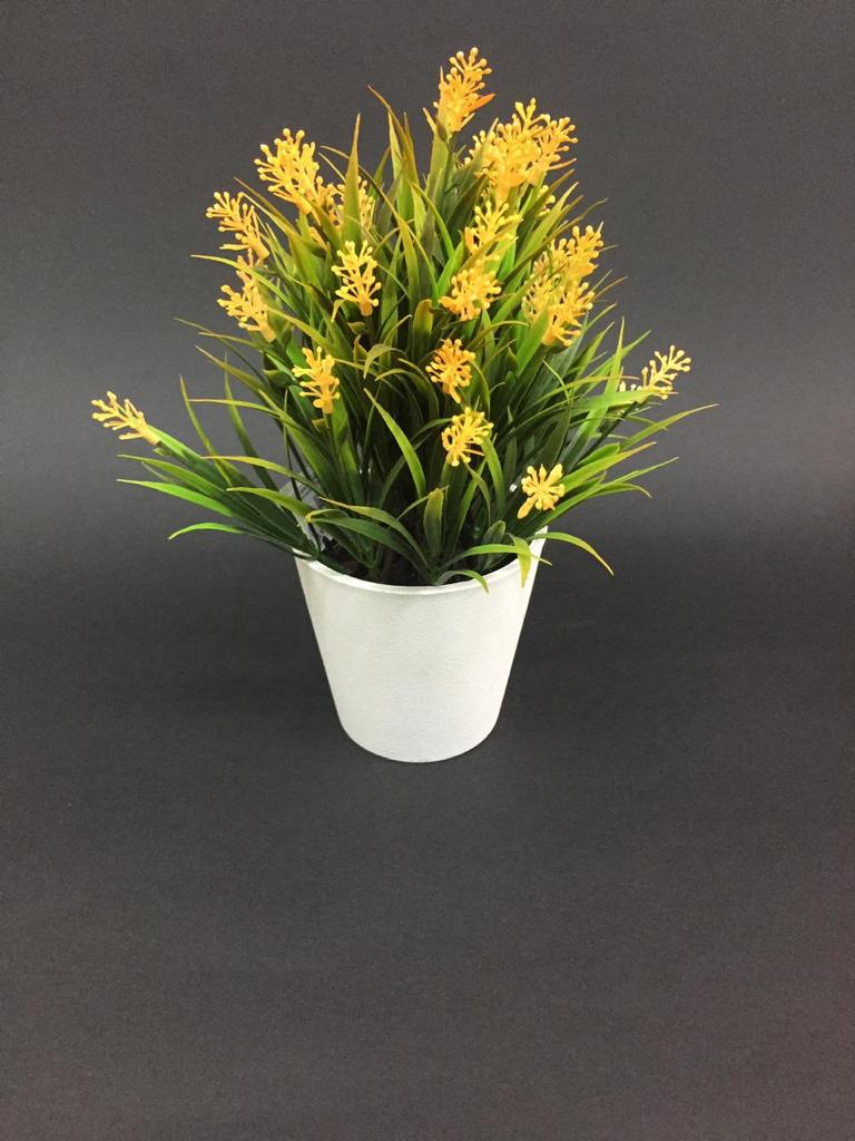 The Grass Finished Indoor Plant Absolute Attraction In Your Home From Tamrapatra