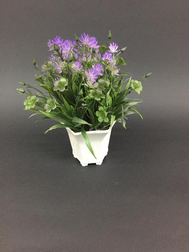 Bucket Styled Flower Pot in Contrasting Shades Plant Collection By Tamrapatra