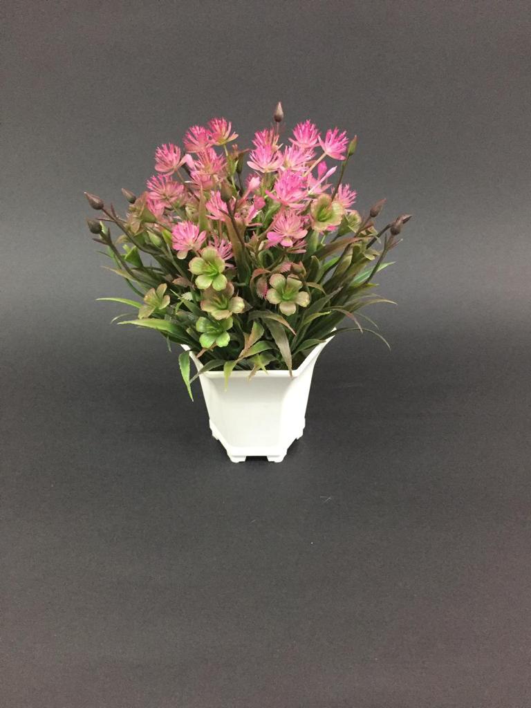 Bucket Styled Flower Pot in Contrasting Shades Plant Collection By Tamrapatra