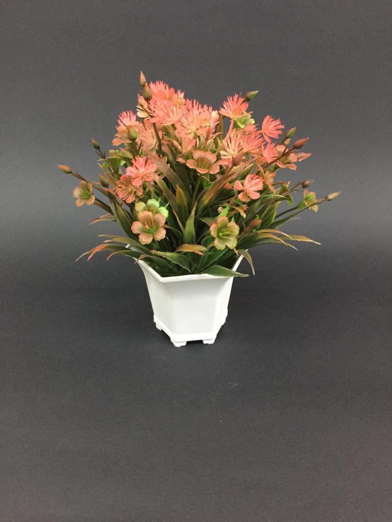 Bucket Styled Flower Pot in Contrasting Shades Plant Collection By Tamrapatra