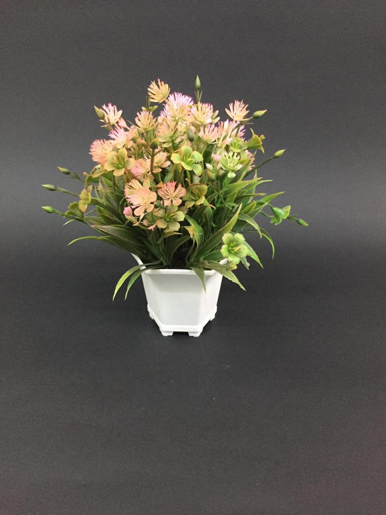 Bucket Styled Flower Pot in Contrasting Shades Plant Collection By Tamrapatra