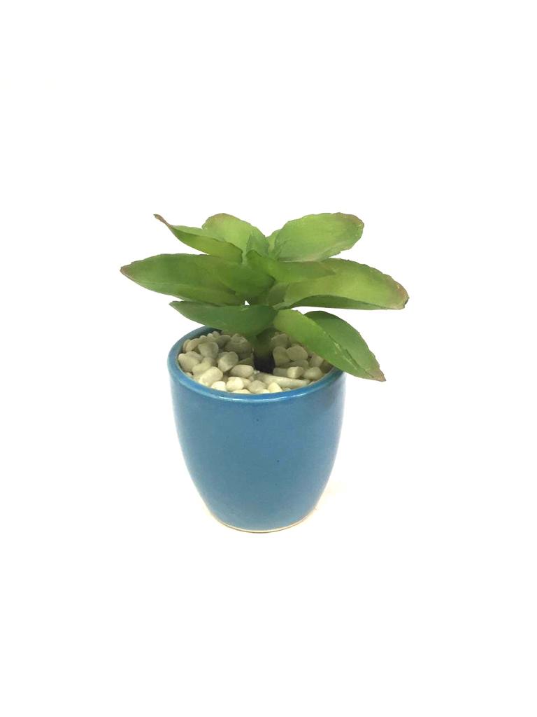 Ceramic Pot Planter Various Stylish Designs For Home Office From Tamrapatra