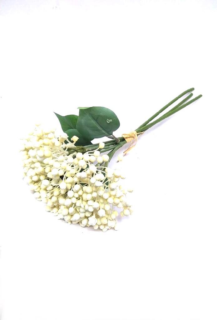 Viburnum Blooming Plants Flower Bunch Home Décor Garden From Tamrapatra