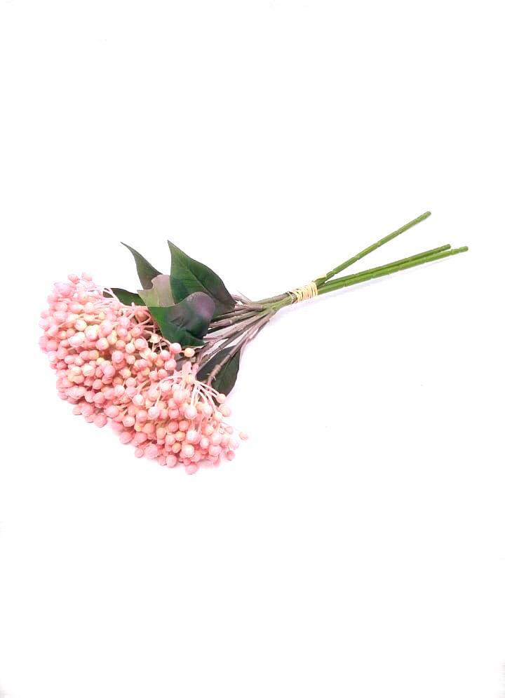 Viburnum Blooming Plants Flower Bunch Home Décor Garden From Tamrapatra