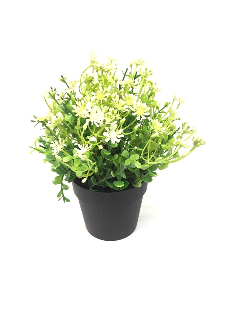 Set Up Floral Arrangements In Your Living Space In Black Pots By Tamrapatra