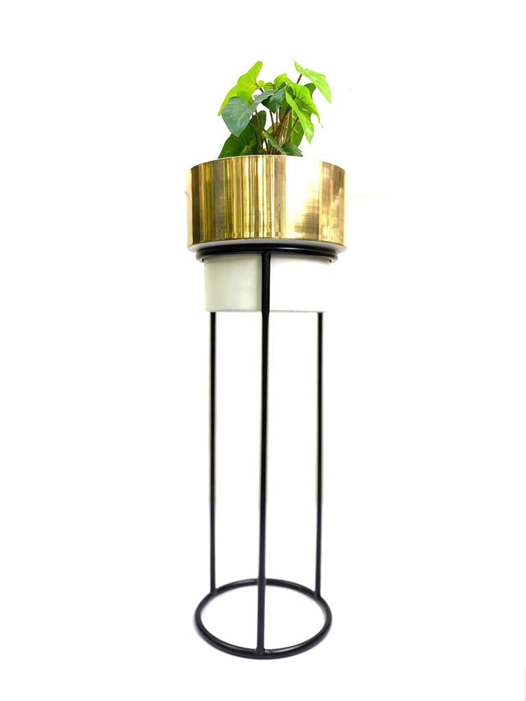 White Gold Shades Exclusive Metal Planters On Black Stand From Tamrapatra