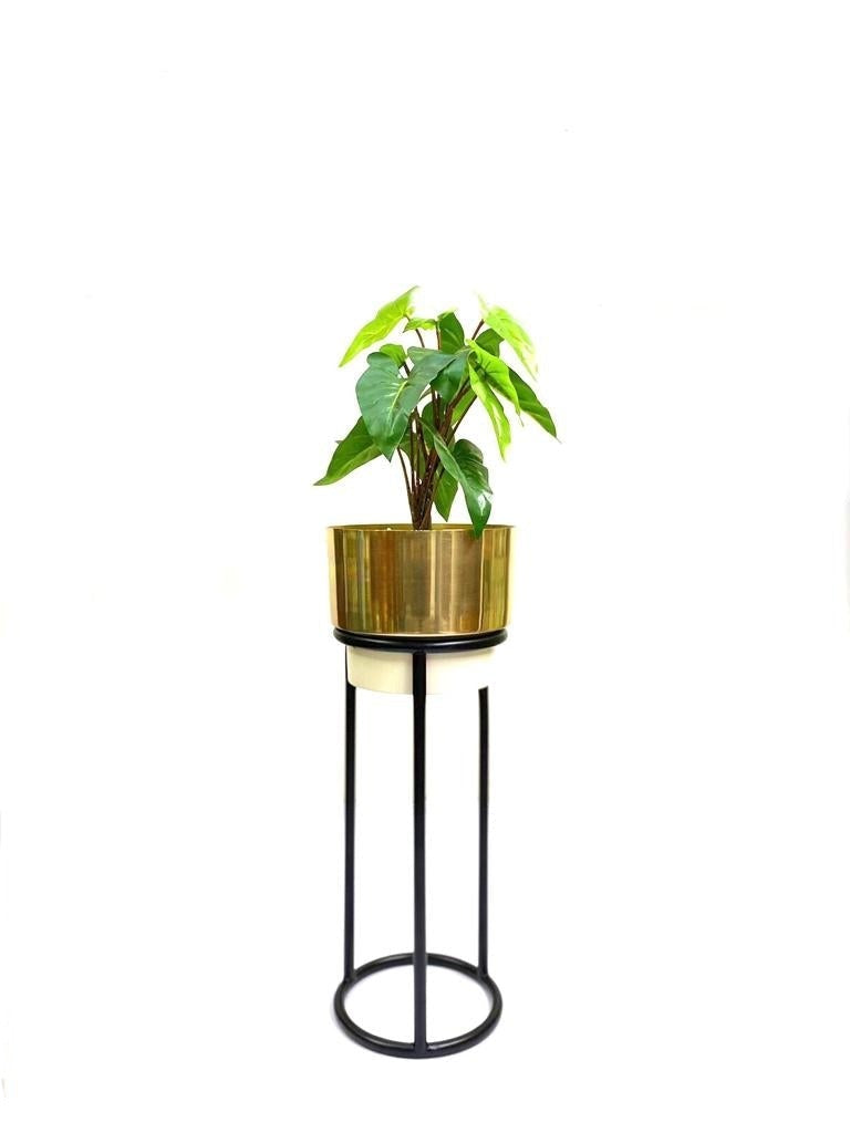 White Gold Shades Exclusive Metal Planters On Black Stand From Tamrapatra