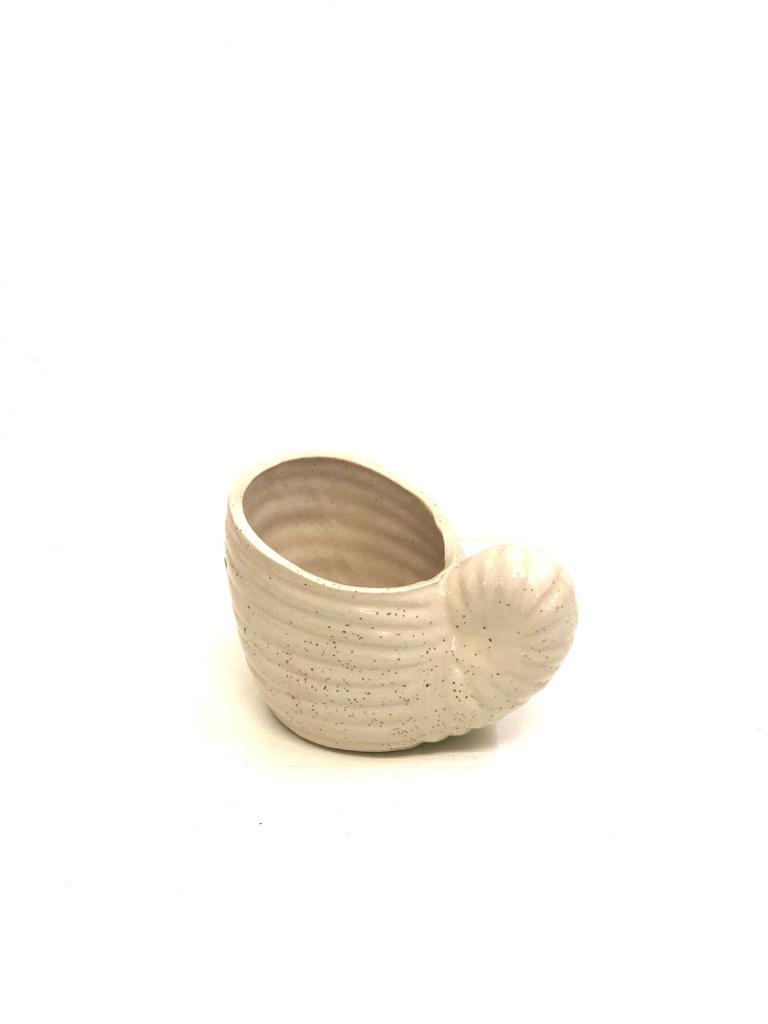 Shell Shaped Ceramic Pots Uniquely Designed Excellent Creations By Tamrapatra