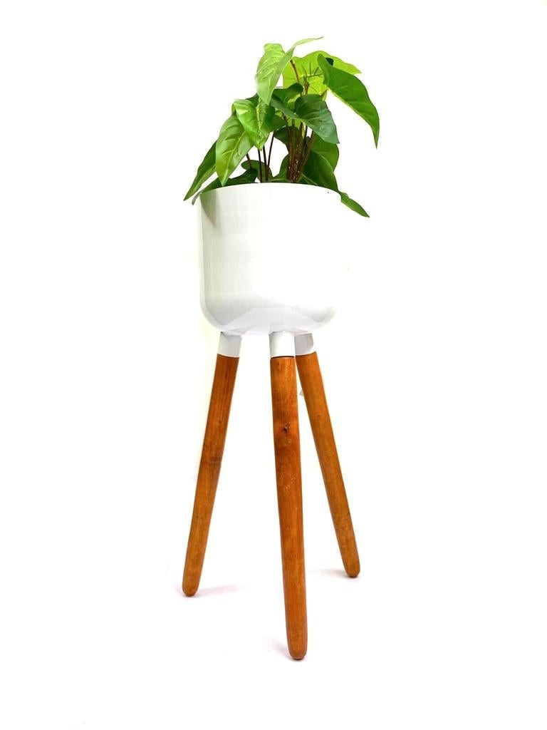 Modern Lavish Pots Metal White Planter On Wooden Stand From Tamrapatra