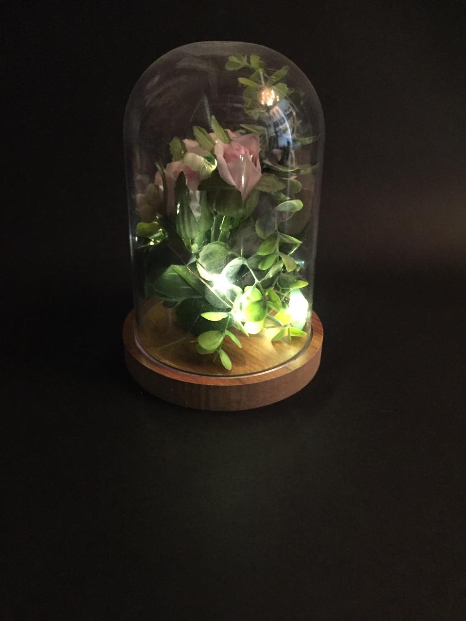 Flowering Plant Preserved In Acrylic Dome Home Garden Accessories Tamrapatra