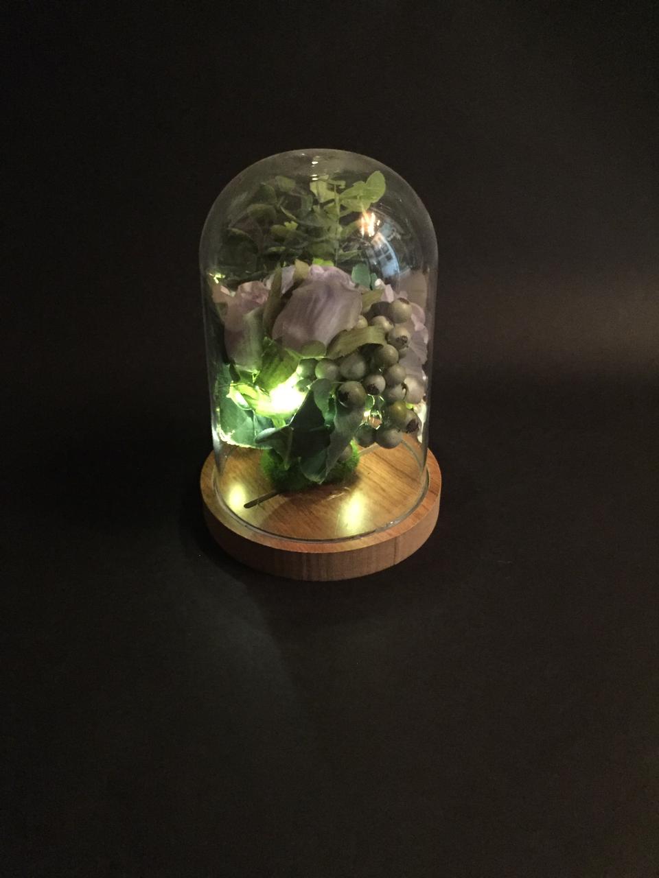 Flowering Plant Preserved In Acrylic Dome Home Garden Accessories Tamrapatra