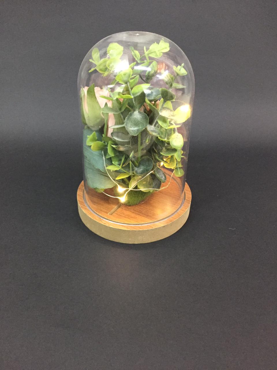 Flowering Plant Preserved In Acrylic Dome Home Garden Accessories Tamrapatra