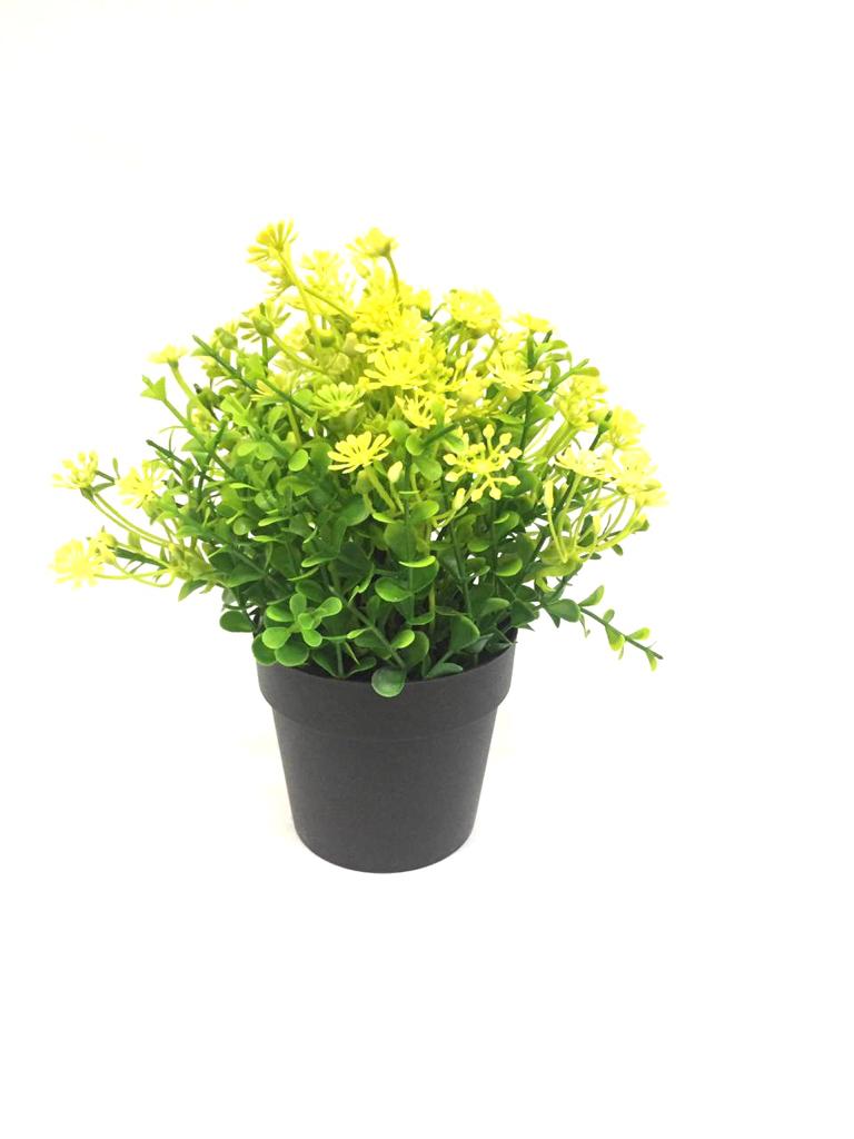 Set Up Floral Arrangements In Your Living Space In Black Pots By Tamrapatra