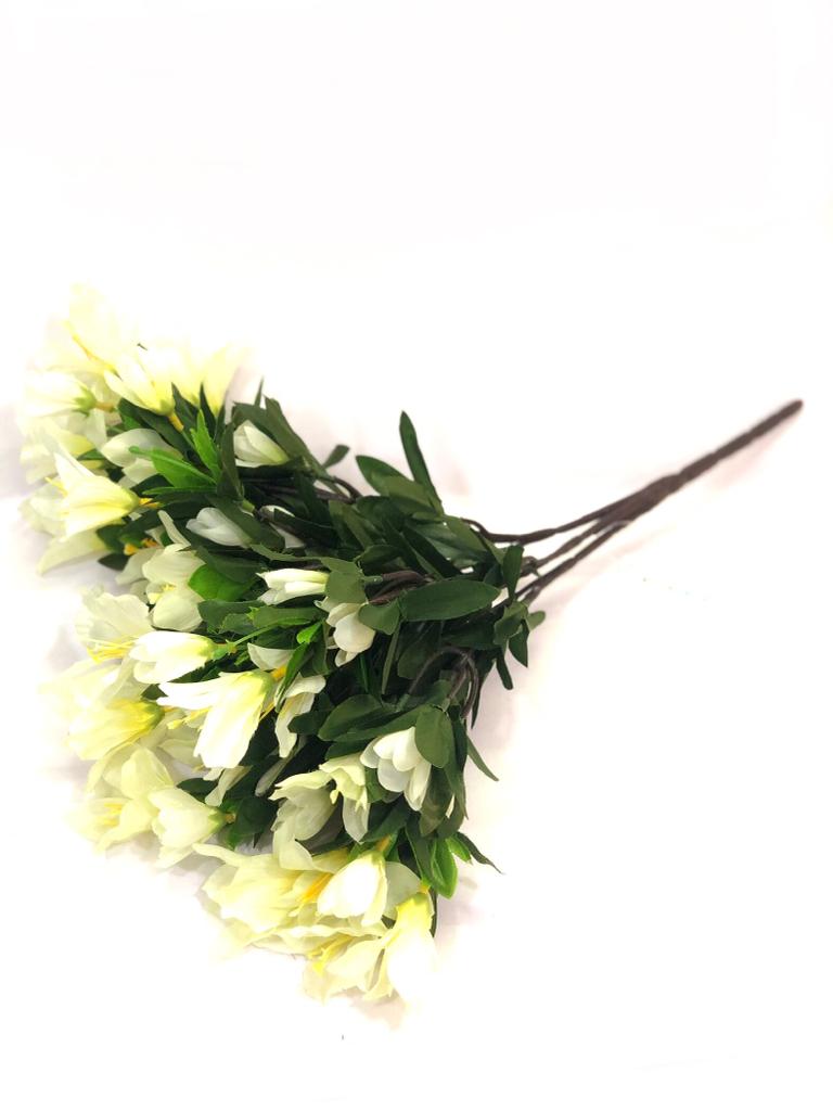 Bougainvillea Flowers In Classy Bunch Sticks Garden Additions Plants Tamrapatra