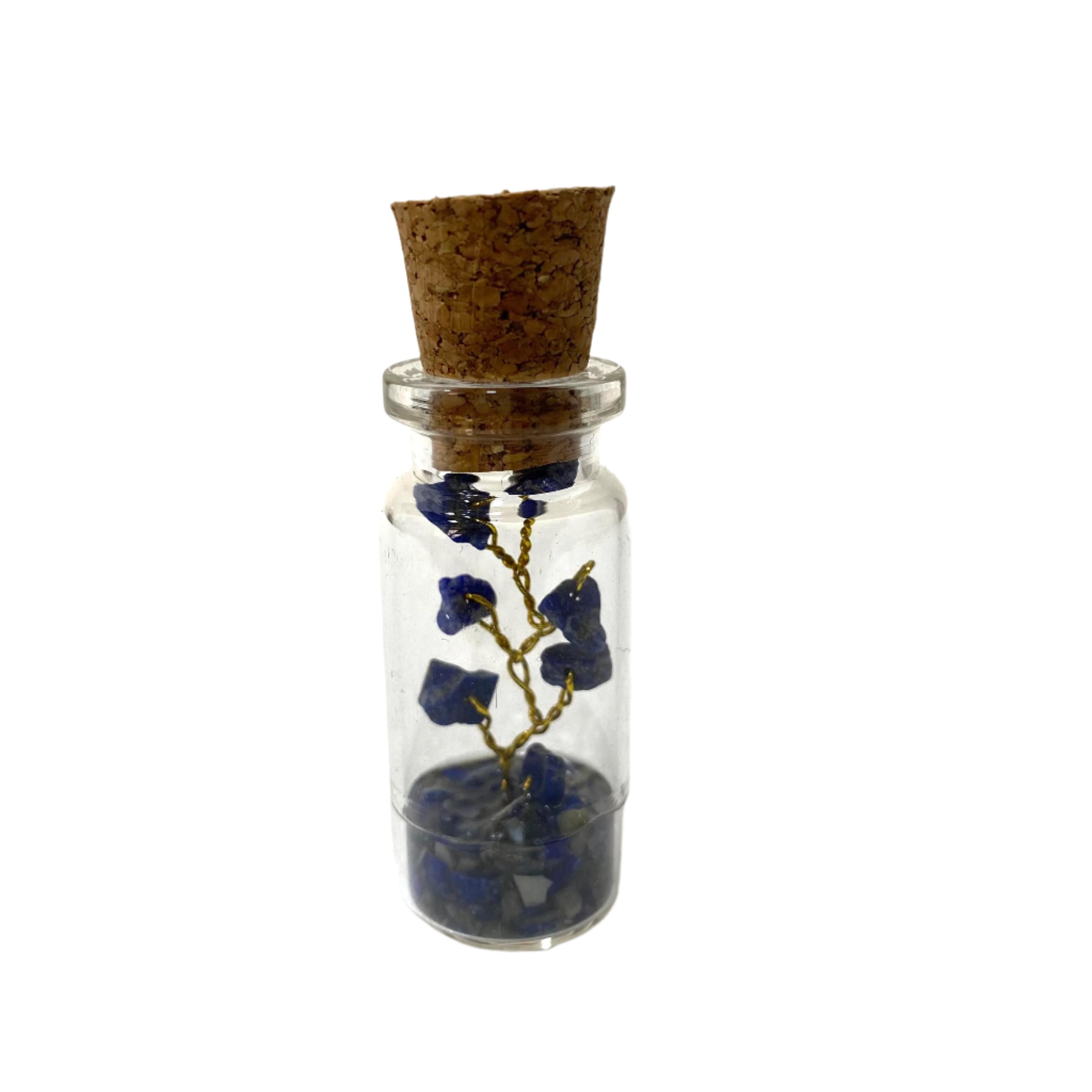 Tree In Bottle With Cork Attractive Colors With Amazing Quality From Tamrapatra