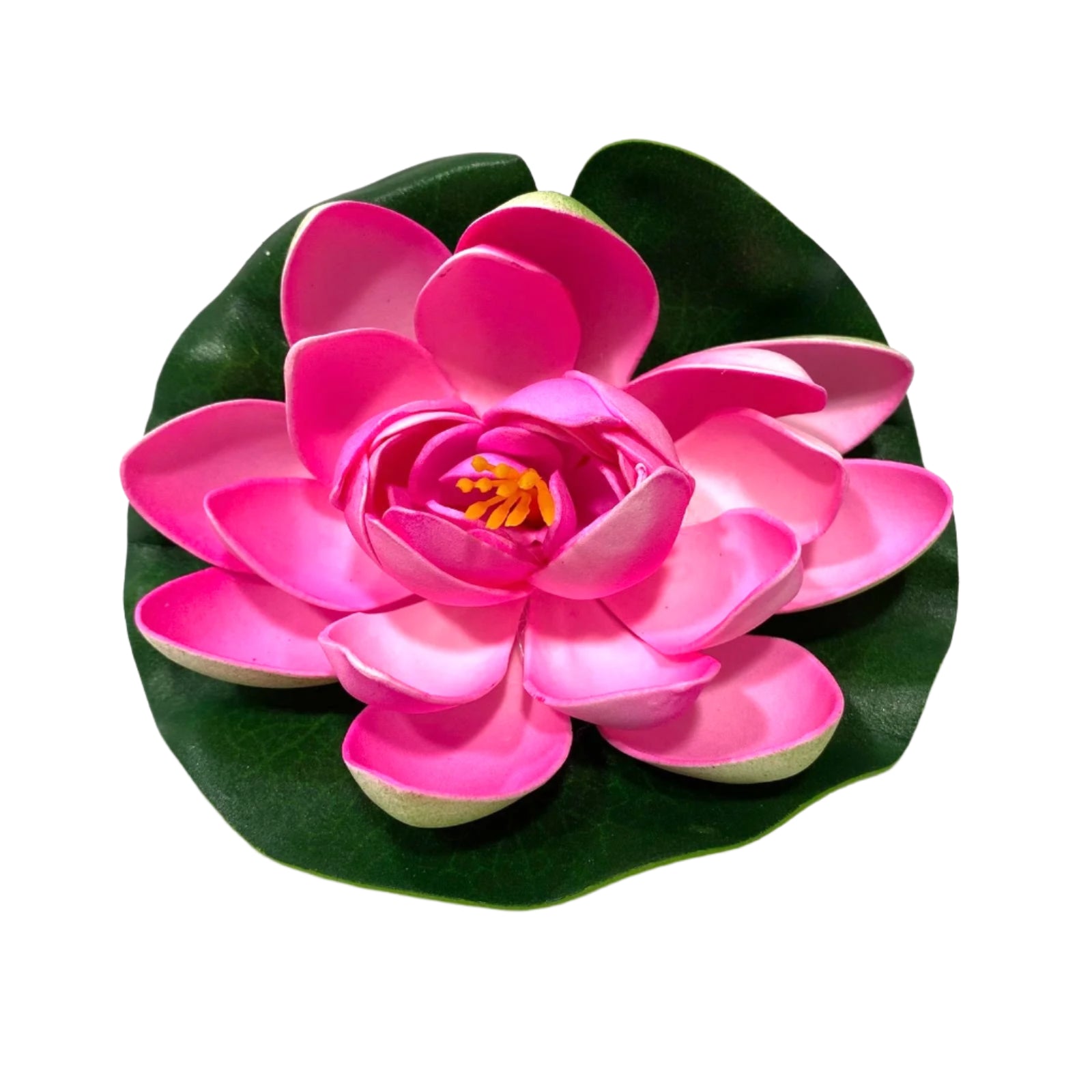 Pink artificial water lily flower on a green leaf with a white background