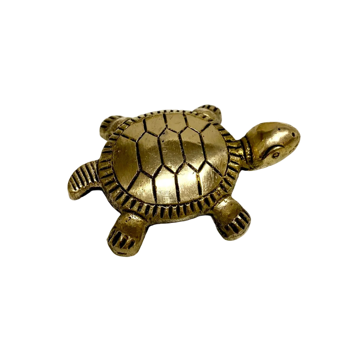 Handcrafted Brass Tortoise Vastu Luck Animal Exclusive Collection By Tamrapatra