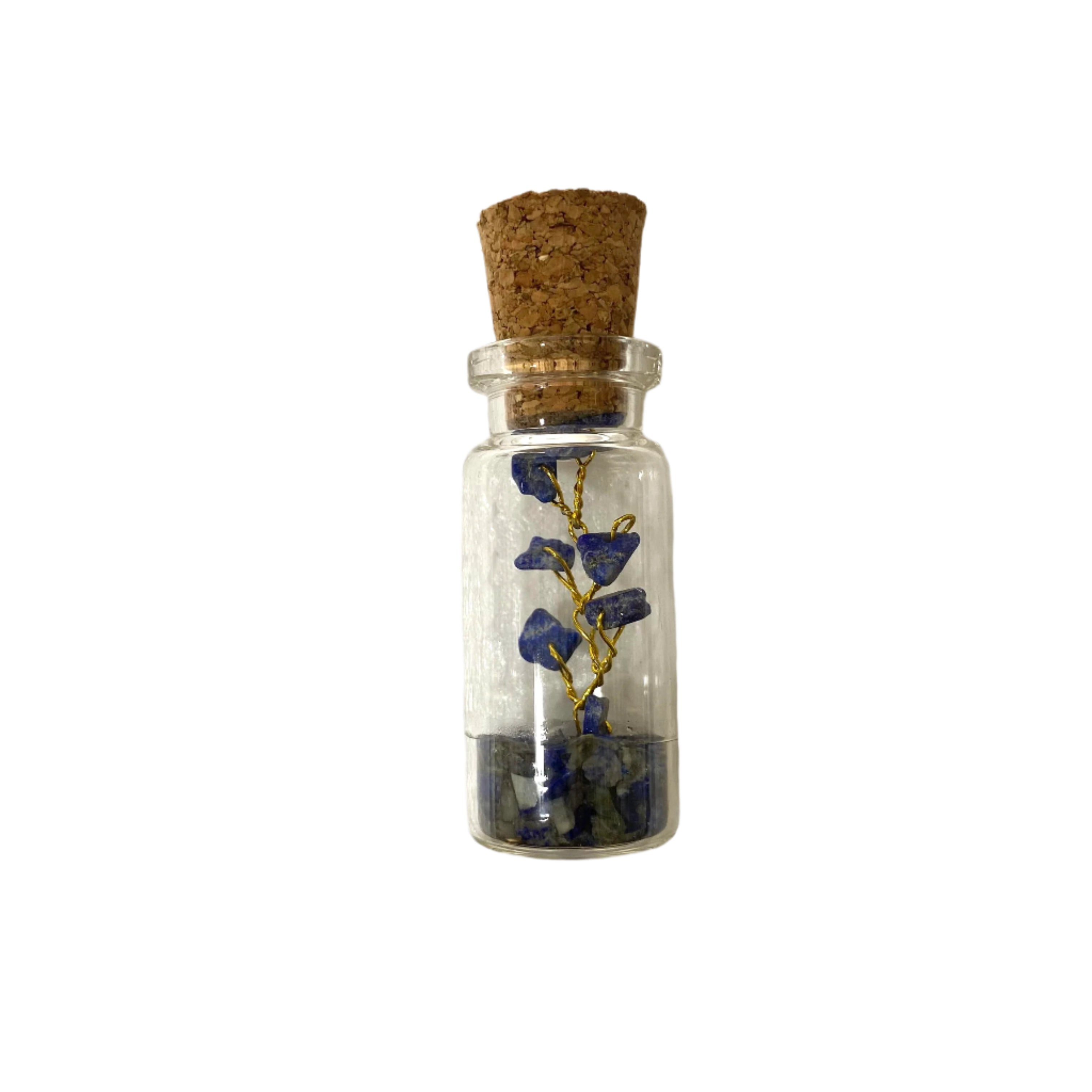 Tree In Bottle With Cork Attractive Colors With Amazing Quality From Tamrapatra