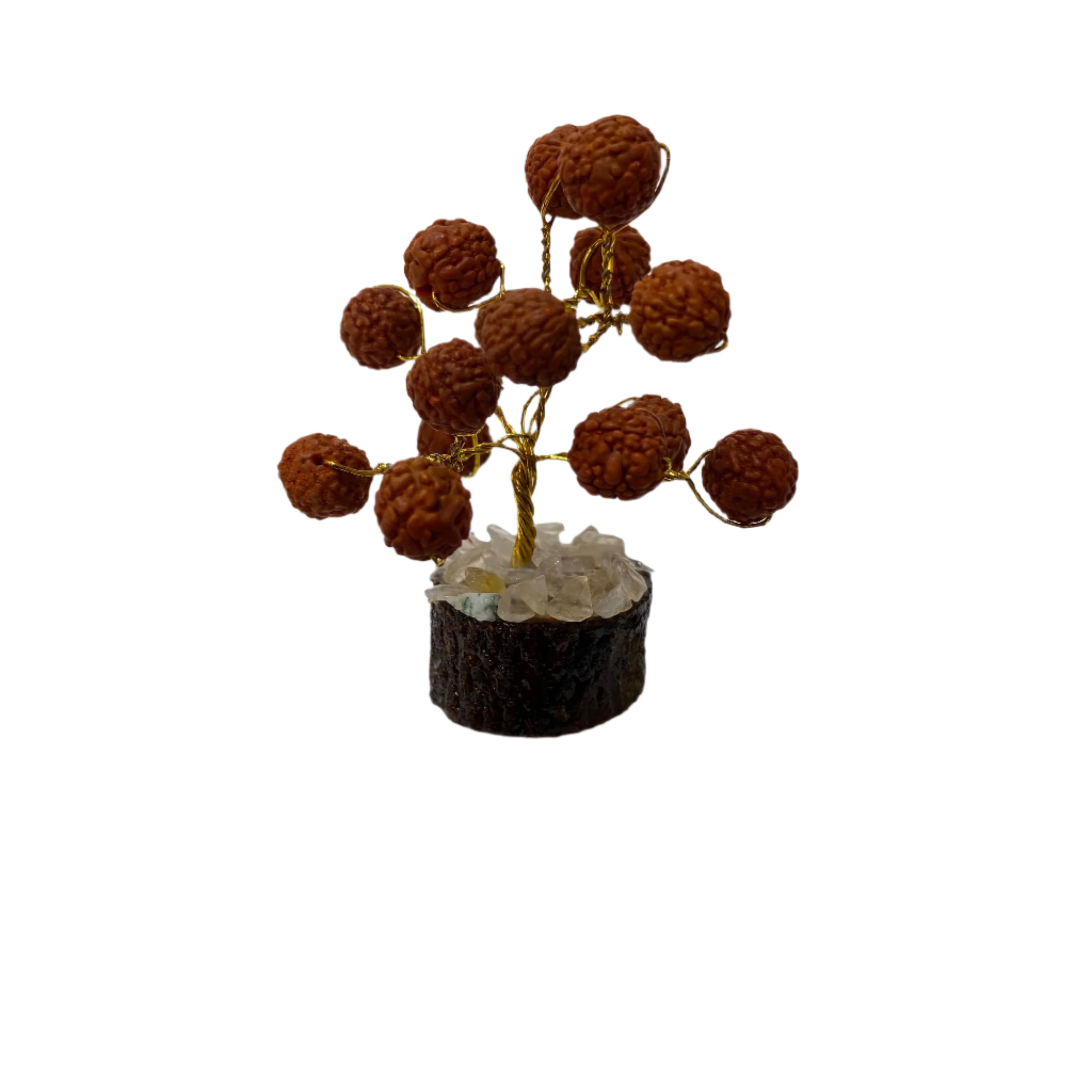 Evil Eye Rudraksh Gomti Tree Exclusive Gifting Healing Tree From Tamrapatra