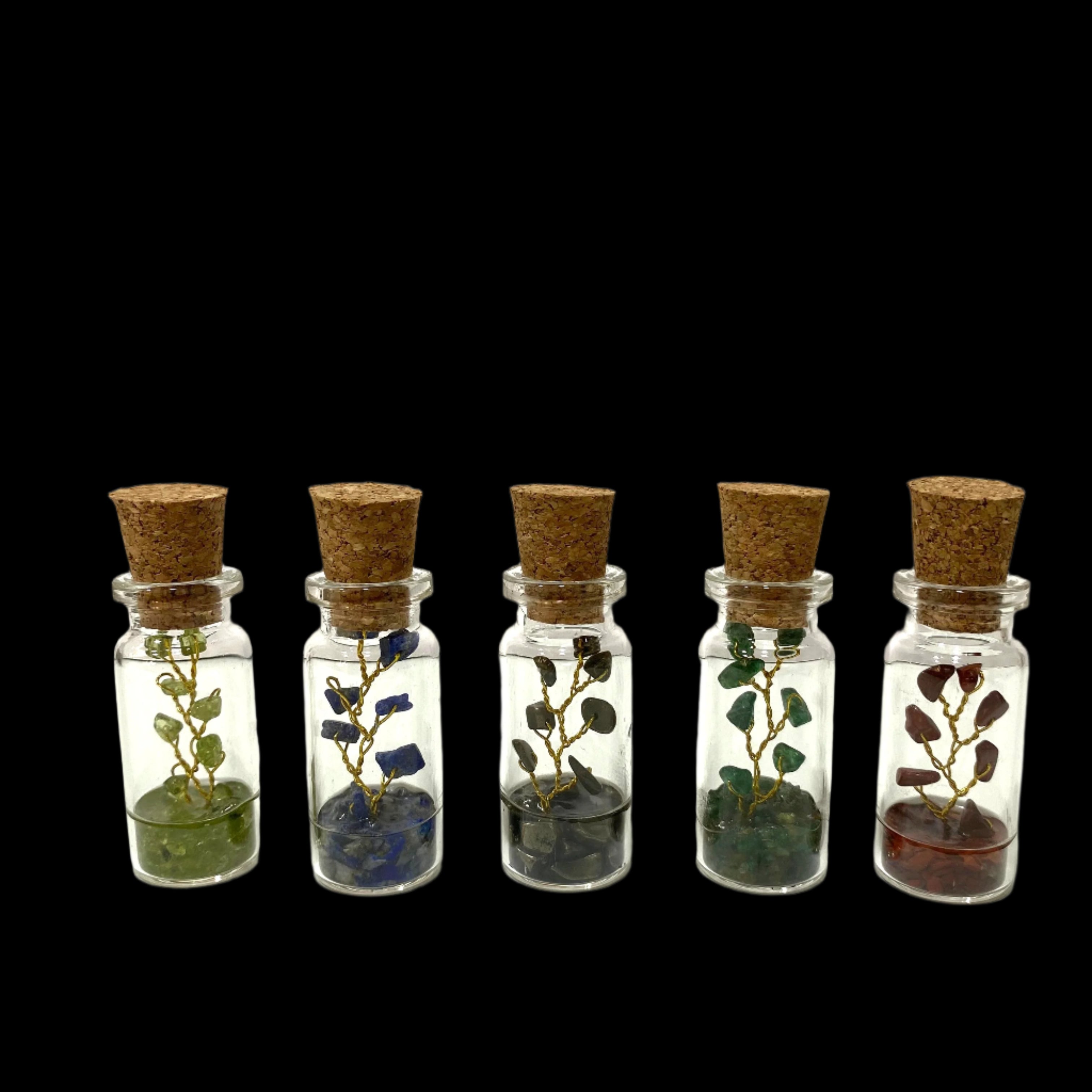 Five small glass bottles with cork lids containing various plants on a white surface.