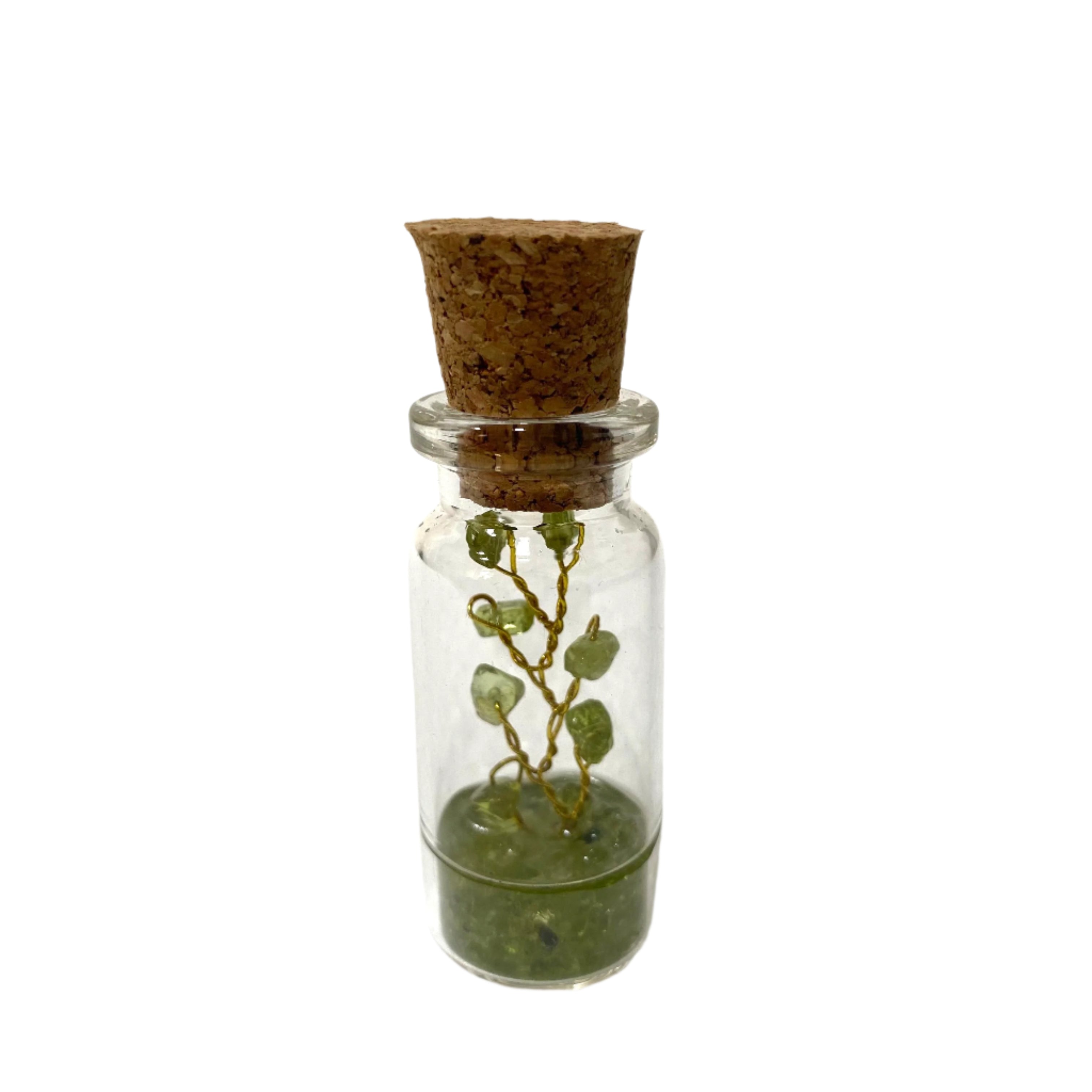 Tree In Bottle With Cork Attractive Colors With Amazing Quality From Tamrapatra