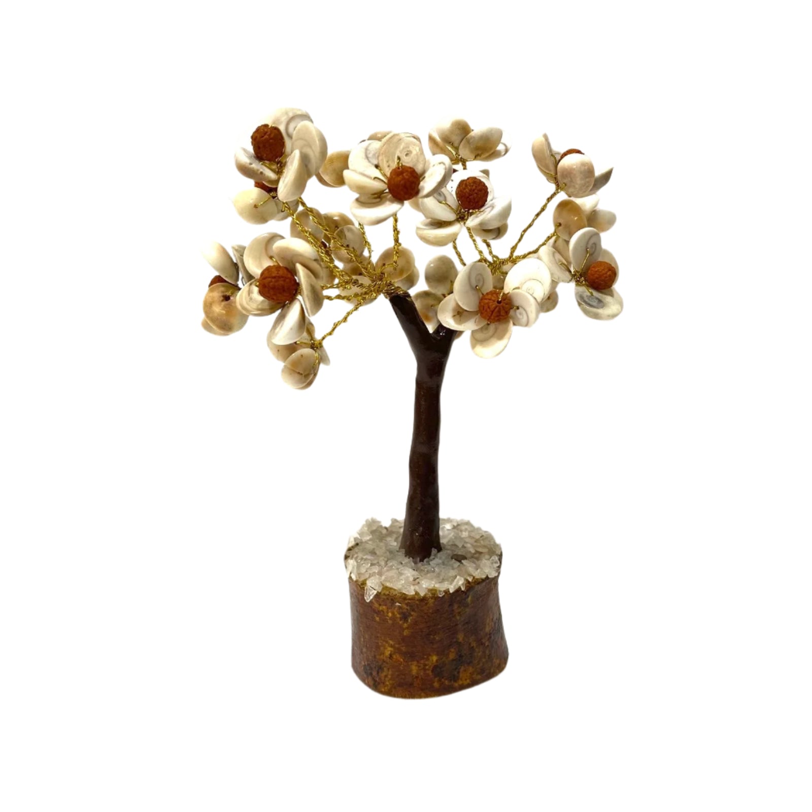 Small decorative tree with white flowers and brown berries on a white background