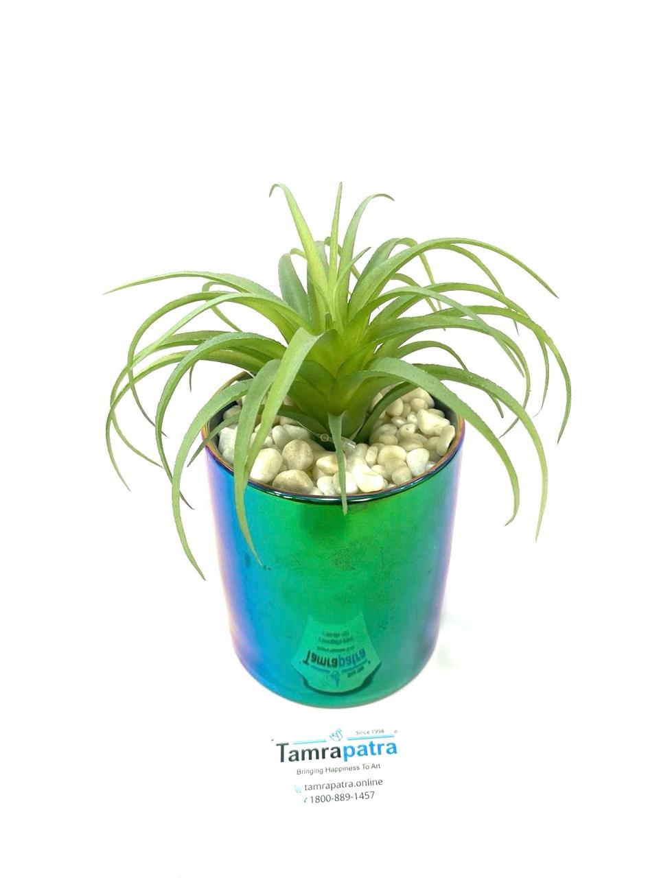 Modern Plants Exclusive Home Décor Collection Artware Handicrafts By Tamrapatra