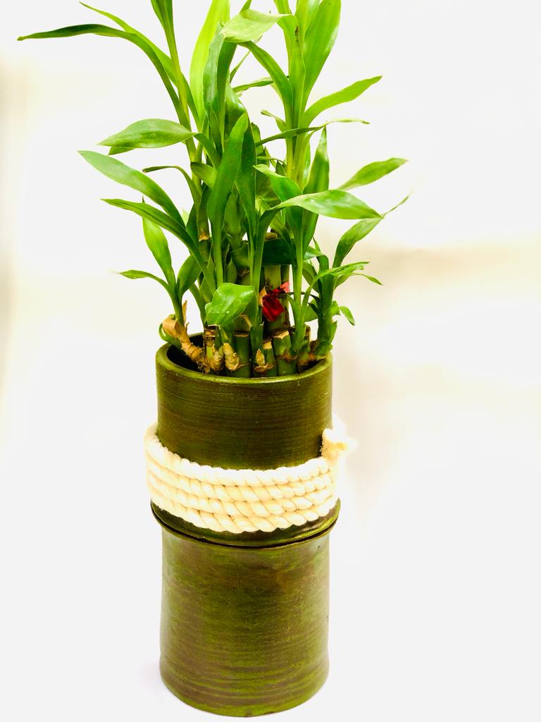 Green Bamboo Style Pot With Jute Thread Terracotta Long Exclusively Tamrapatra