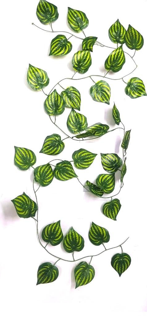 Green Vile Falling Creepers Leaf Garden Plants Decoration Home Tamrapatra