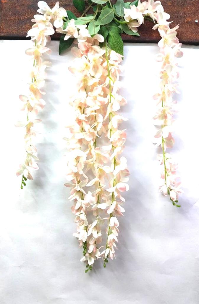 Orchid Falling Creepers Garden Plants Extravagant Decoration By Tamrapatra