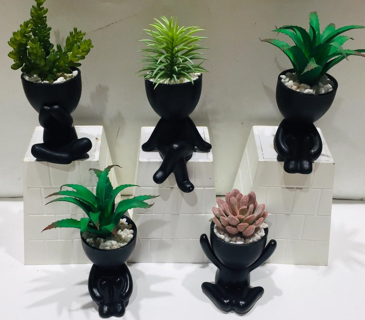 Black Series Playful Pots With Various Representation Of Succulents Tamrapatra