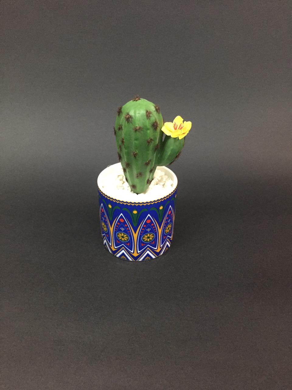 Exclusive Decorative Pots With Succulents Must Buy Limited Stock Tamrapatra