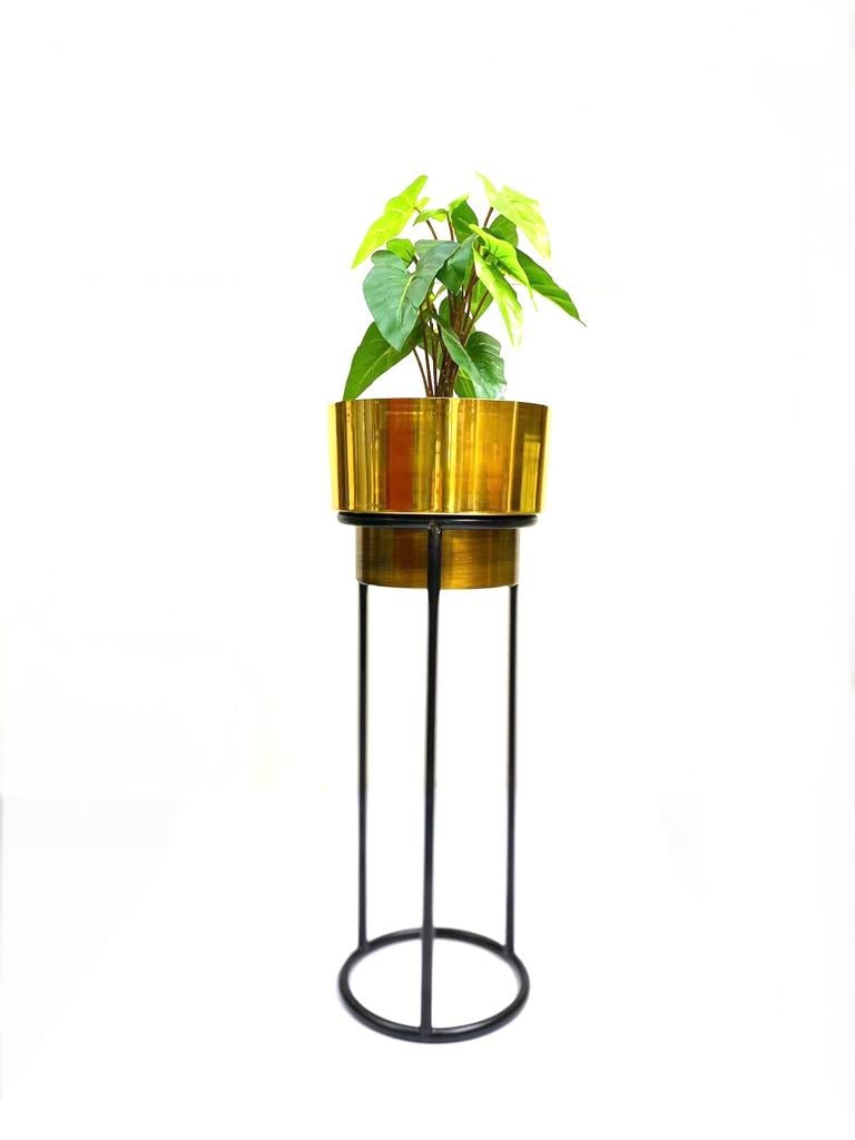 Dual Golden Shades Planters With Classic Black Stand Garden By Tamrapatra