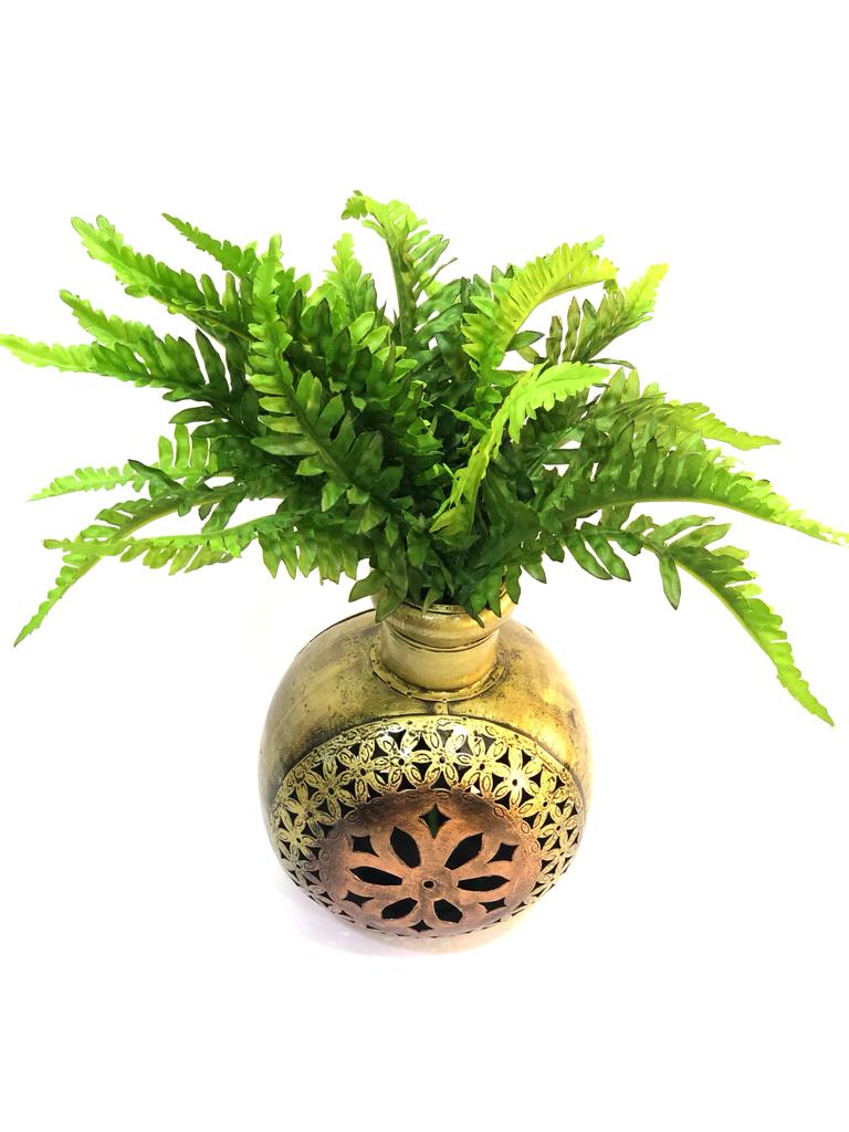 Nephrolepis "Sword Fern" Garden Collection Décor Plants Ideas By Tamrapatra