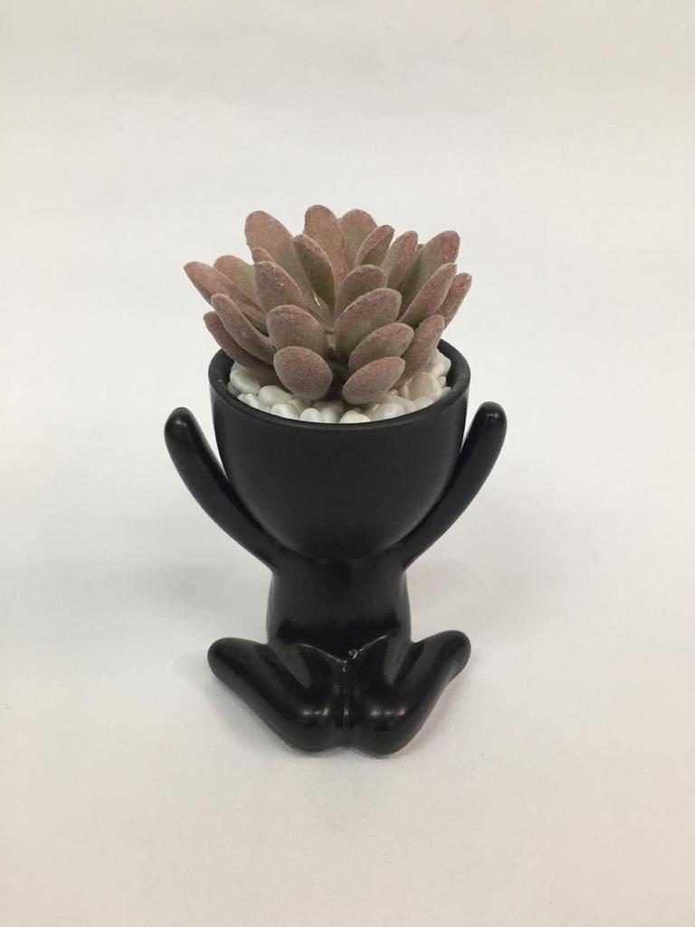 Black Series Playful Pots With Various Representation Of Succulents Tamrapatra
