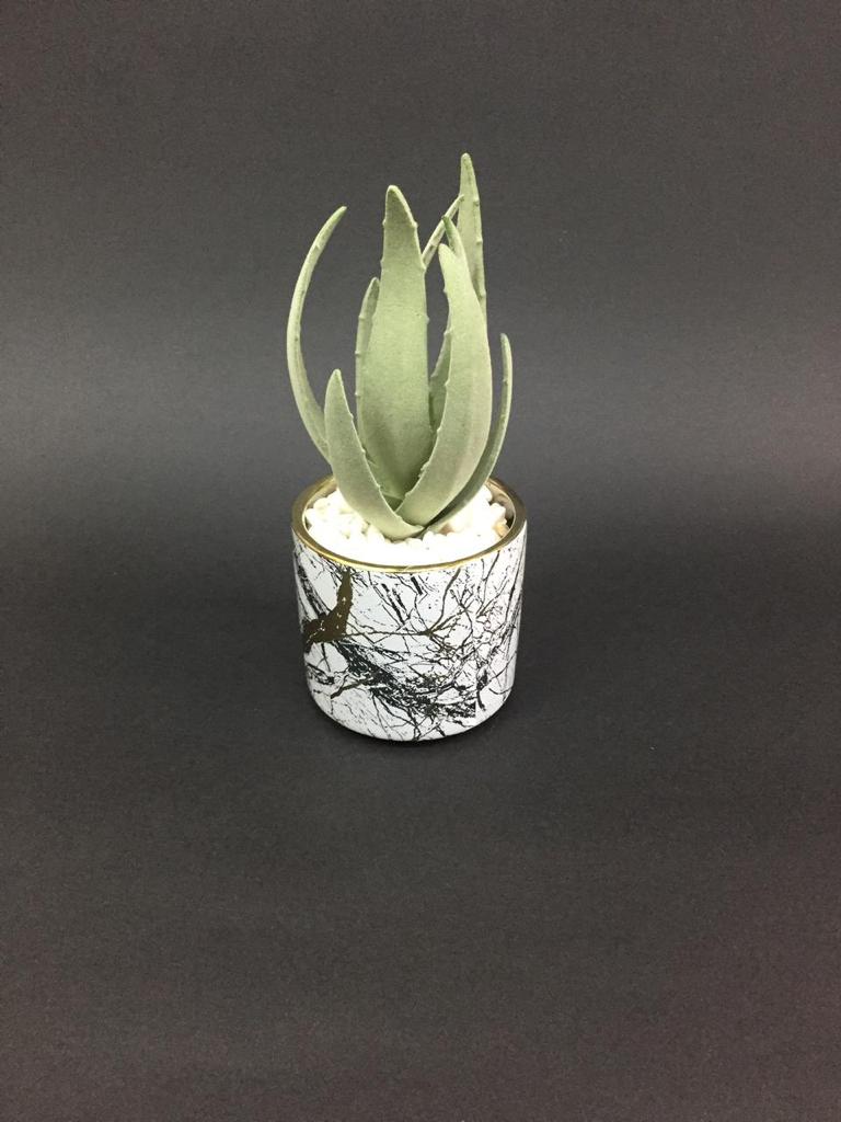 Creative Whitish Golden Pots With Succulents Décor Lovely Homes Tamrapatra