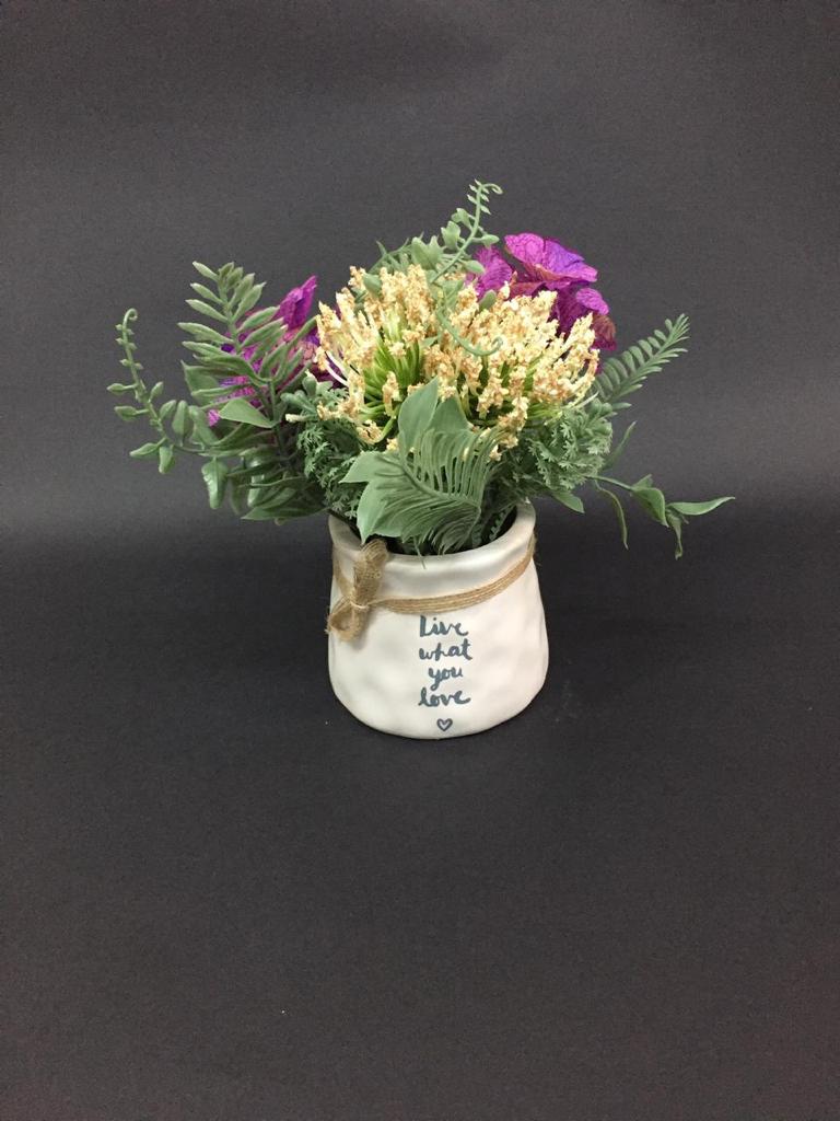 Live What You Love Beautiful Quotes Ceramic Pots & Flowering Plant Tamrapatra