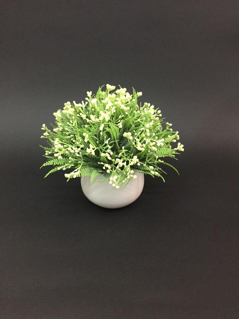 The Grassy Finished Pots Indoor Plants With Modern Touch By Tamrapatra